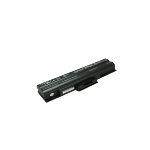 BPS21 VGP-BPS21